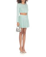 Sequin Pleated Knit skirt